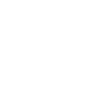 Academy Willinauta